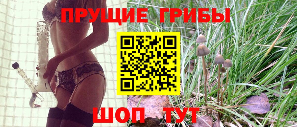 Галлюциногенные грибы Cubensis Чита