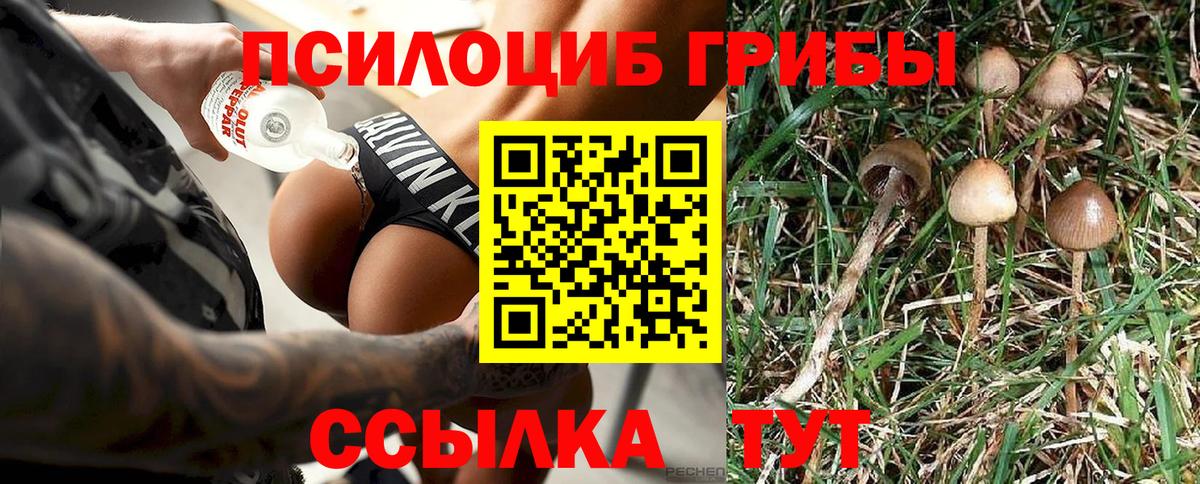 Псилоцибиновые грибы GOLDEN TEACHER  Вход с VPN  Чита 